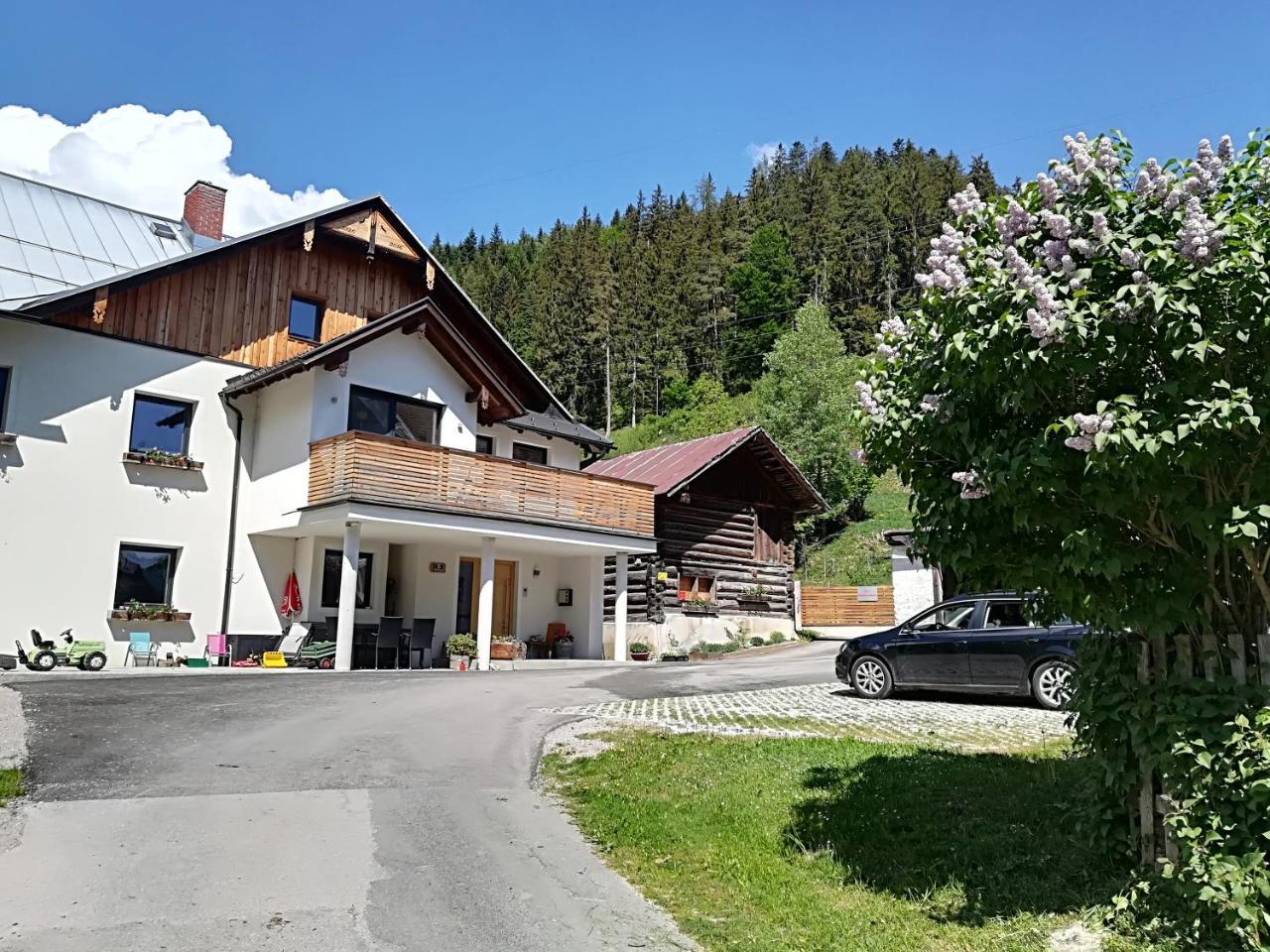 Appartement Grosswallner Radstadt Exterior photo